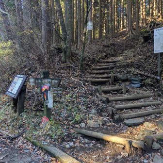 出発！ペースを上げ過ぎないように気を付けます。