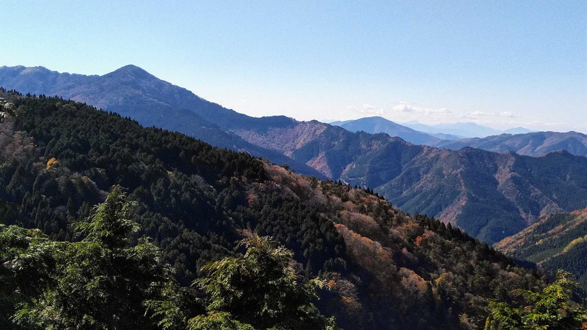 奥には中津山が