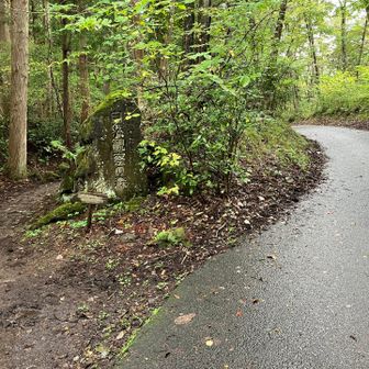 舗装路を歩き登り口へ