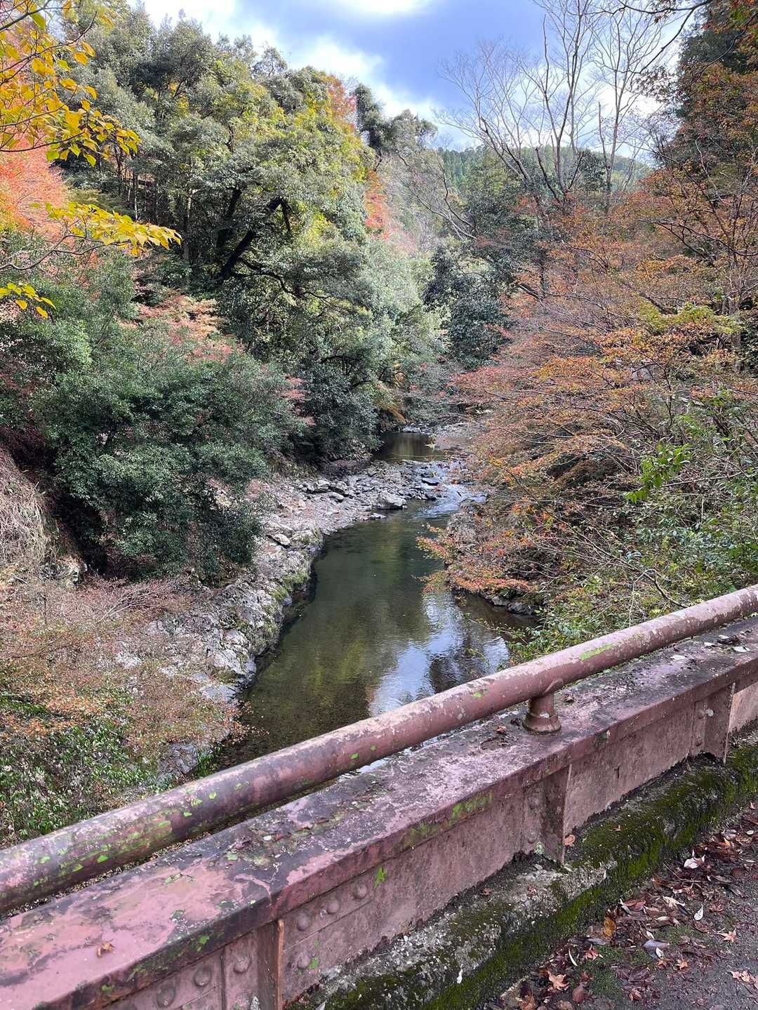 栂尾町バス停-槙ノ尾バス停-清滝バス停 縦走コースの写真