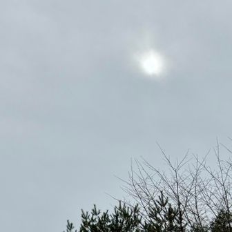 太陽さんはここまで。

偶然、去年ここで飴を頂いた方にお会いできて嬉しかったです。
新年の気持ちいい空気、いっぱい吸ってきました。