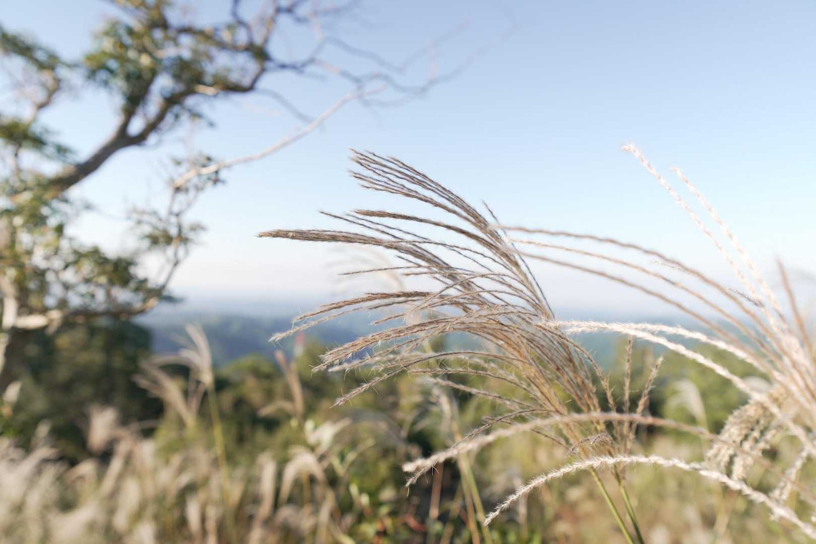 見行山 往復コースの写真