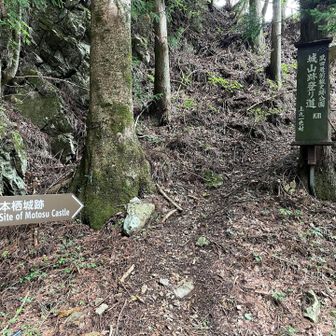 城山跡 登り道
