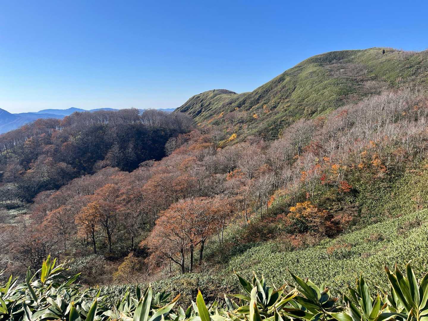 三角山-広域林道登山口-保月山-釈氏ヶ岳-中岳-経ヶ岳-北 周回コースの写真