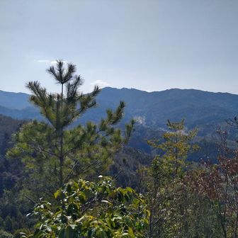 六所山、焙烙山がすぐそこ