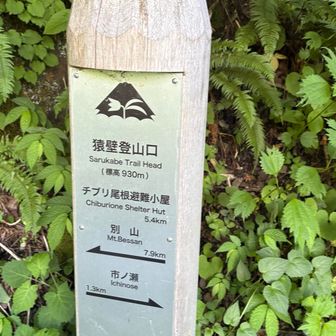 5時半にスタートしたのにリスタート😂

過ぎたことは仕方ない、気を取り直してGO！