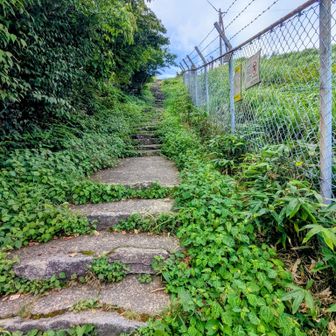 脊振山頂へ本日唯一の登山道？