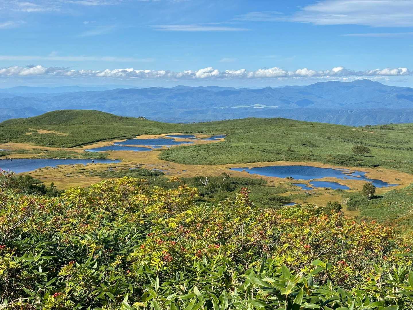 愛山渓登山口-沼ノ平-1591ピーク 往復コースの写真