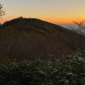 紅葉🍂良い感じになってきた😊