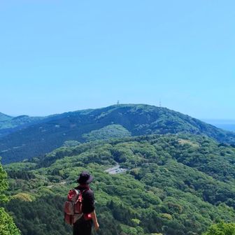 あおさぎさん