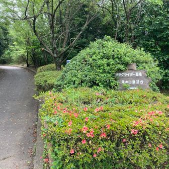 展望台までいざ出発！