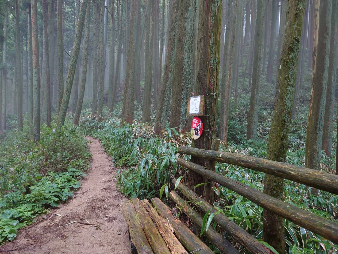 セト。少し小雨になりました。
一休みしましょう。😆。