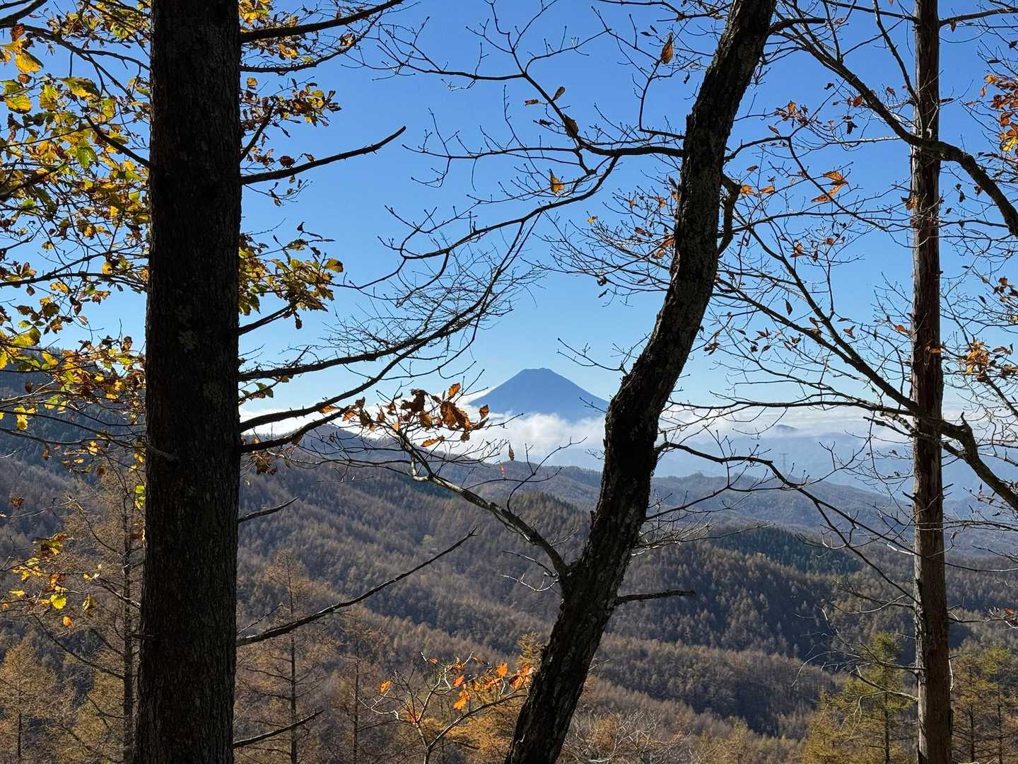 富士山！！電波もあって、思わずお友達にLINEしました（笑）