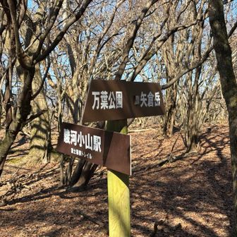 道標が立派
でもこの後からは字が見えなくなっている道標も