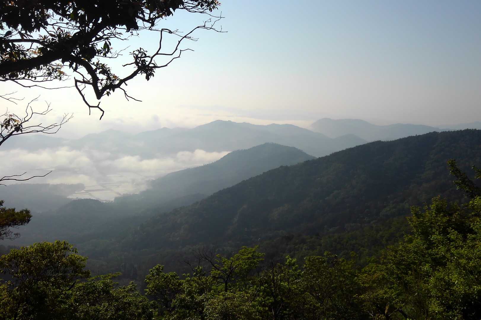 金輪寺-半国山-牛つなぎ広場 周回コースの写真