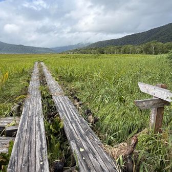 ここからYAMAP地図上では通行止だが解除されていて通れるので直して下さい