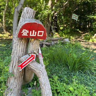 三角山下山後はあかさか山へ