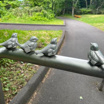 姫沼は行かず、げざーーーん！！🫡
