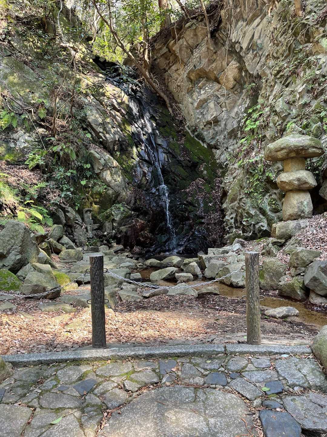交野山 往復コースの写真