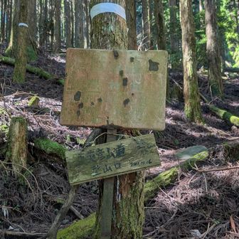 なんやかんやで、
無事、裏英彦山登山口に合流😮‍💨