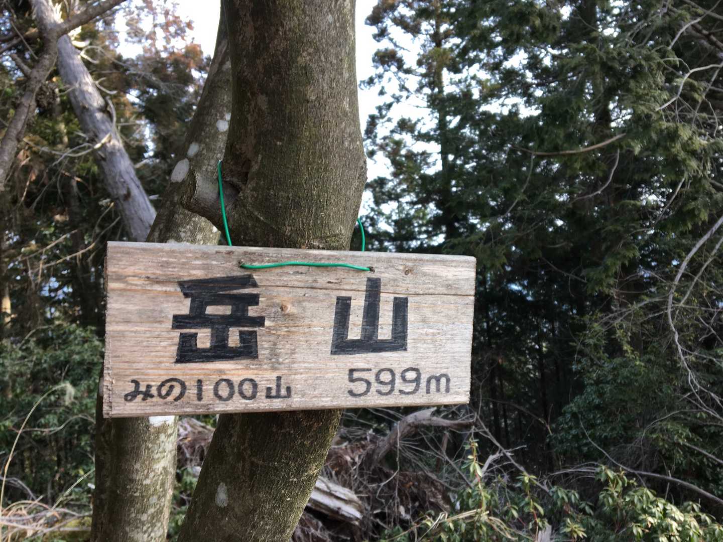 山頂に到着‼️