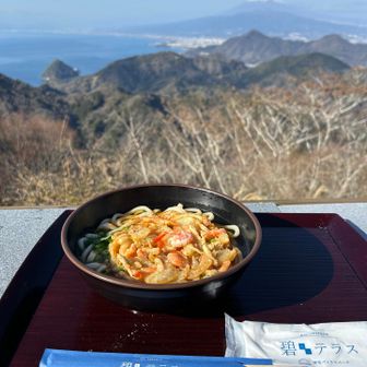 富士山と駿河湾を見ながら、桜エビ天ぷらうどん