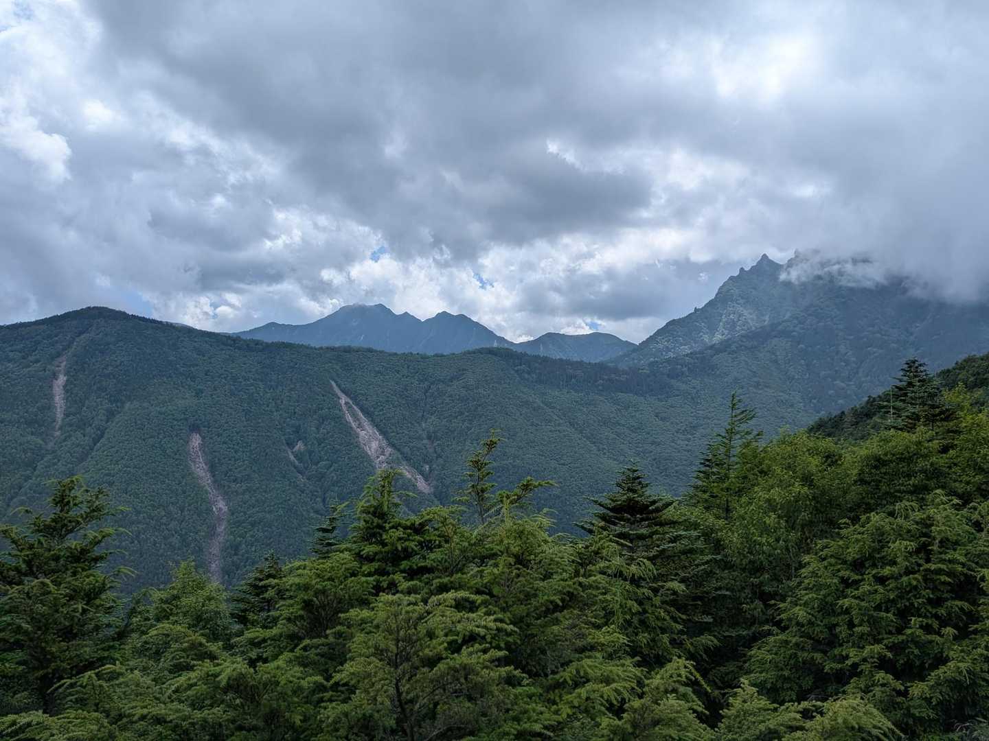 あとはもう淡々と下るのみ。次は真教寺尾根も行けそうだ。