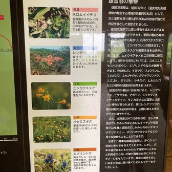 休憩所に戻り、