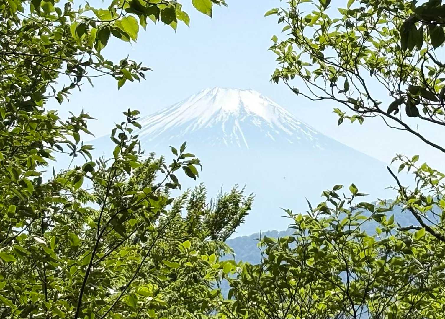 富士山🗻見えました
