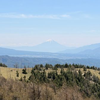 富士山🗻