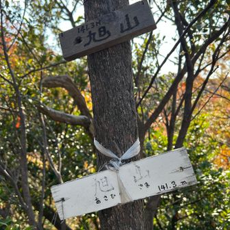 ゴールの旭山👏
無事に辿り着けて良かったー😄