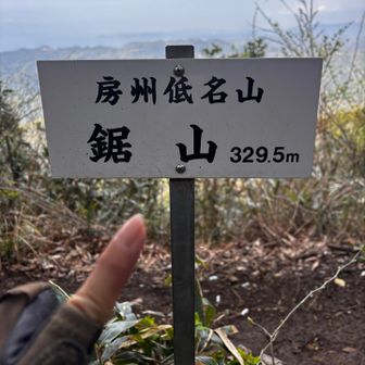 本当の鋸山つーいた

③本当の鋸山に登る！→ 本当の鋸山登れたよ🆗