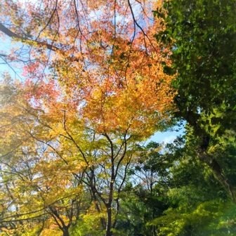 最期のあがき♥️
美しい❤️