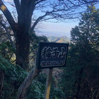 30分で稲子山(いなごやま)到着⛰️ここから登山者とすれ違う様になりました😊奥には歩いて来た稜線が