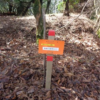 準備してスタート
ここから取りつきました