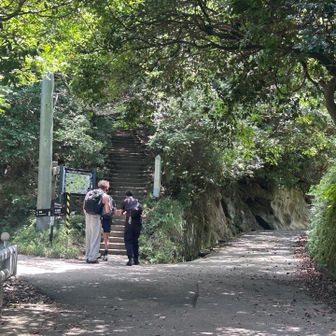 三又の分岐。
私は左の車力道へ。