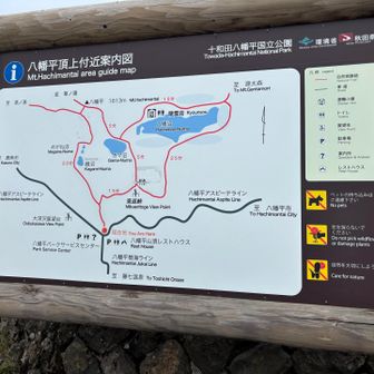 新しいほう