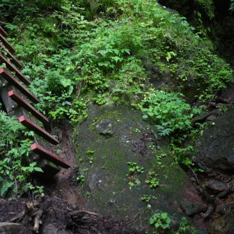 突き当り壁⁉️
と思うと基本左側に梯子や岩場の登山道