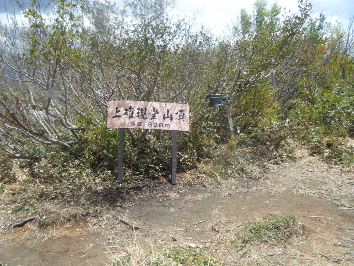 上権現堂山です。道中はコシアブラだらけ👀
