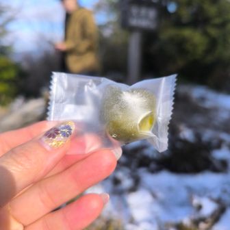 抹茶のマシュマロ