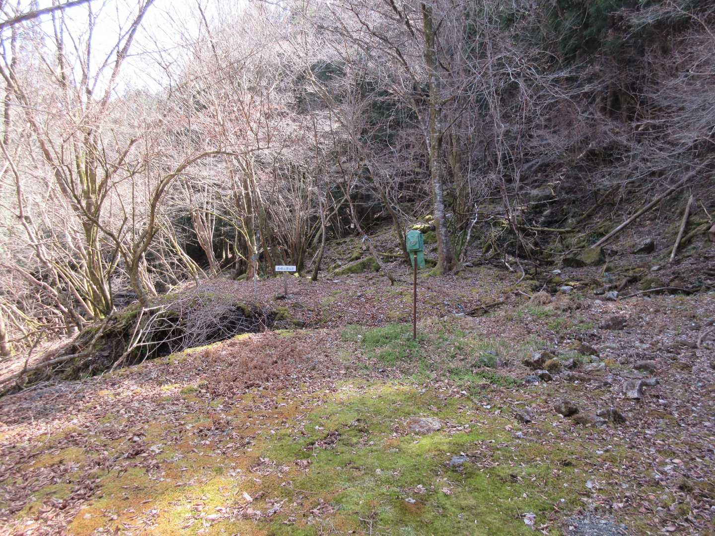 林道終点＝登山口
ここから登山道へ