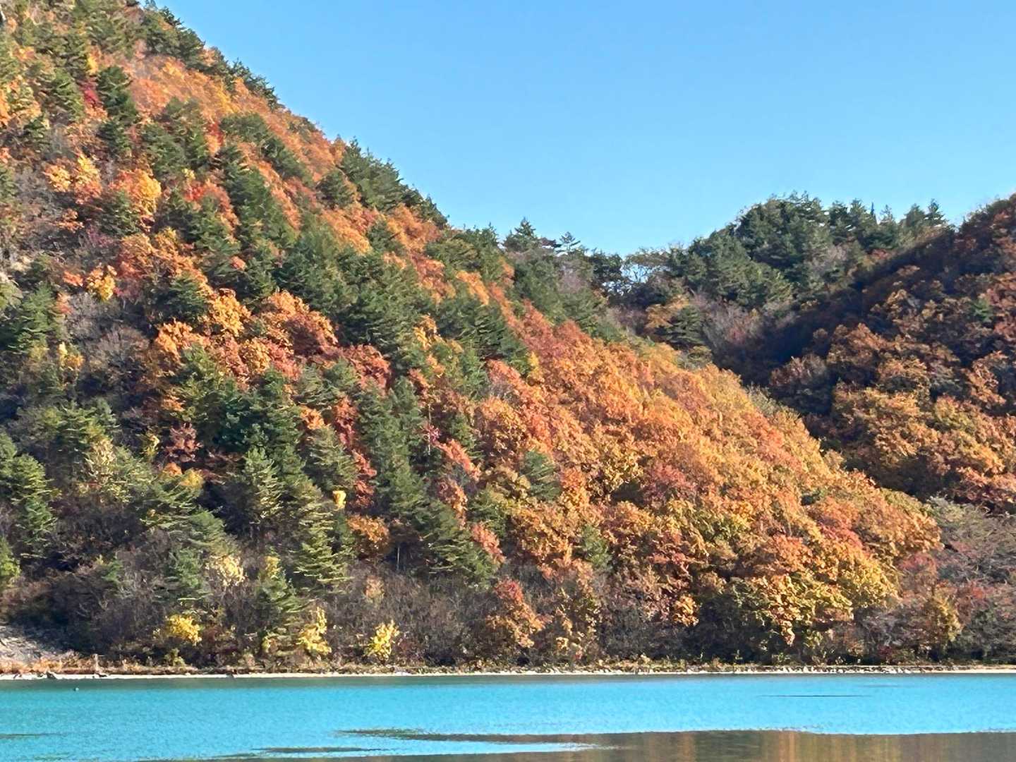 胡桃ヶ岳の紅葉🍁