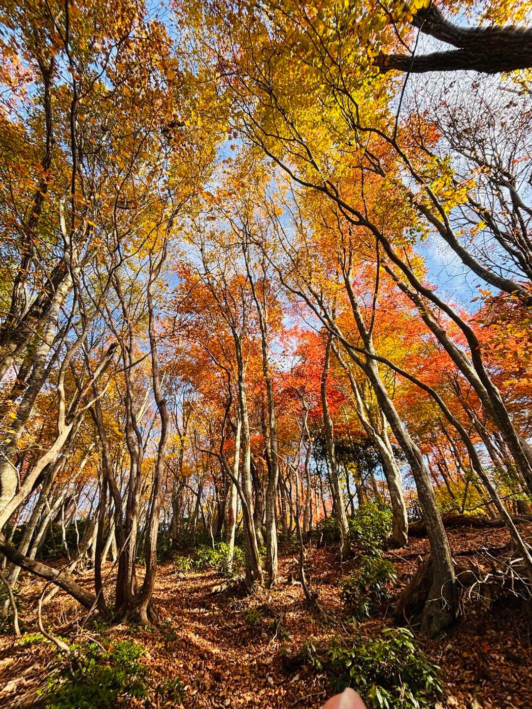写真撮りまくり📸