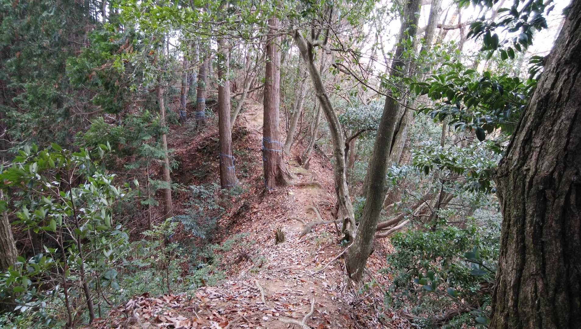 向山へ向かう💨
やせ尾根少し