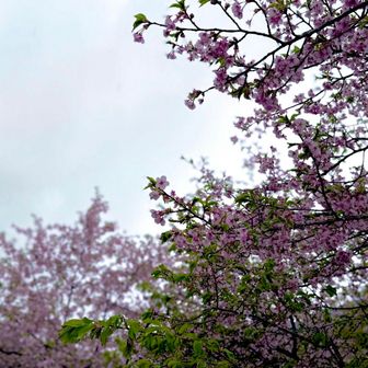 ロードに出る手前で雨がポツポツ☂️
次第に雷雨に⚡️😱