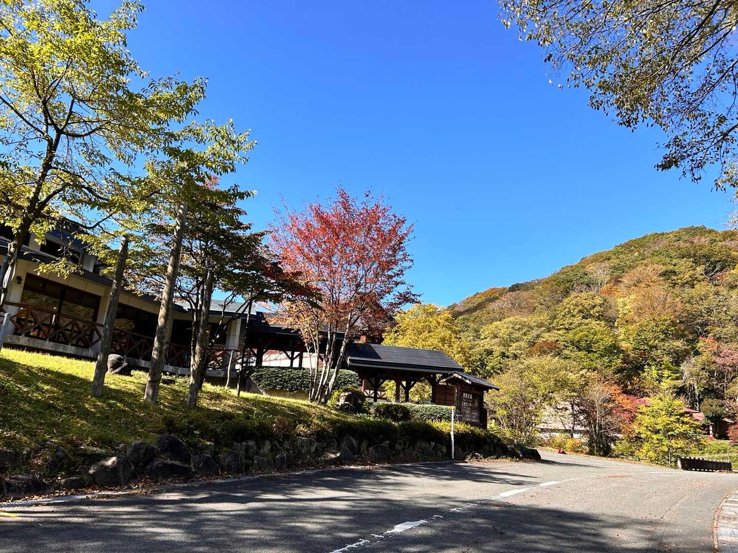 県民の森🌳ビジターセンター