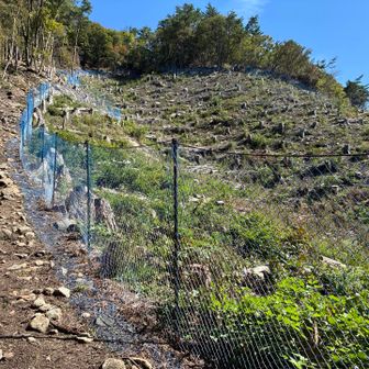 こちらも山の作業跡が見えます。此方は終了なのでしょうか、通行止めにはなっていません。しかし急登です。