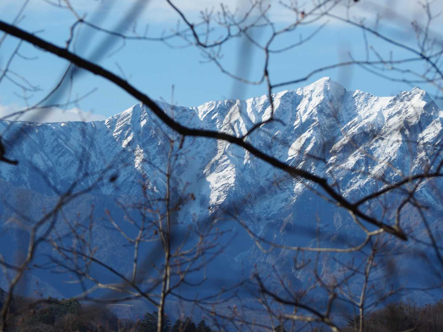 大姥山 周回コースの写真