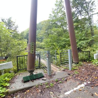 下山は緩い下りが大半ですが、最後の1時間あまりは、ちょっとした岩山の登り返しがあります
あと、吊橋を渡って振り返ったら、いっぺんに3人か4人くらい渡ってて、おいおい〜💧ってなりました。吊橋渡るときは、人数を確認してほしい。落ちちゃいますよ