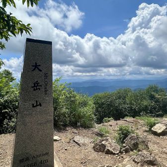 大岳山 到着🙌
ここまで追い越されも含むスライド人数は5人ほど、穴場ルート！？